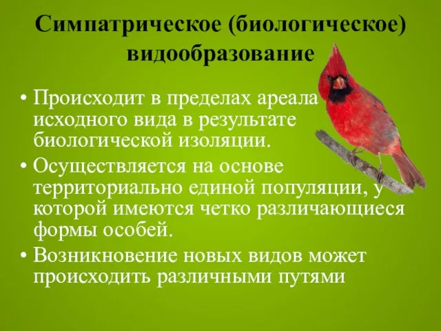 Симпатрическое (биологическое) видообразование Происходит в пределах ареала исходного вида в результате биологической