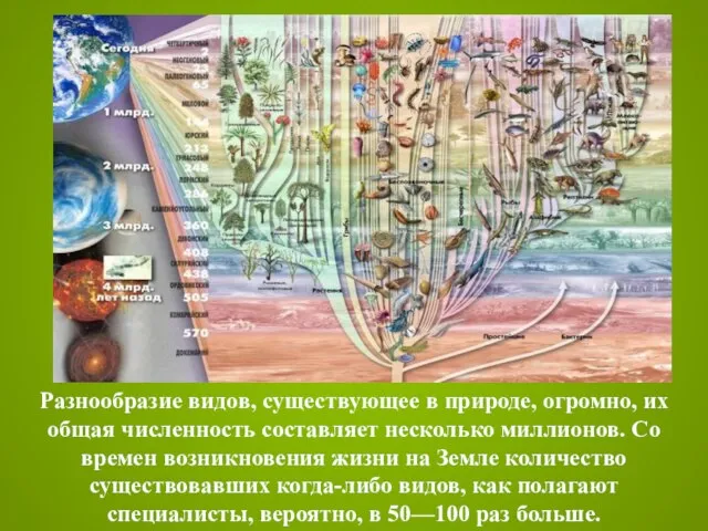 Разнообразие видов, существующее в природе, огромно, их общая численность составляет несколько миллионов.