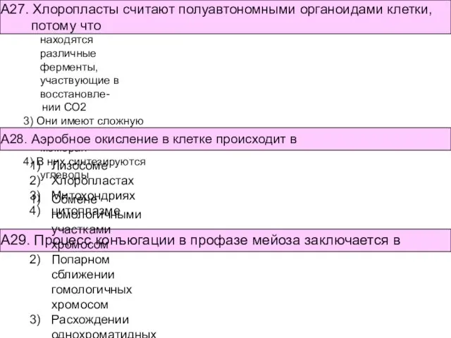 Лизосоме Хлоропластах Митохондриях цитоплазме Они содержат собственную молекулу ДНК и способны к