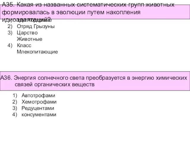 Автотрофами Хемотрофами Редуцентами консументами Тип Хордовые Отряд Грызуны Царство Животные Класс Млекопитающие