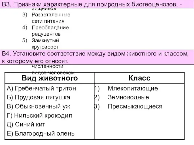 Наличие трофических уровней Отсутствие хищников Разветвленные сети питания Преобладание редуцентов Замкнутый круговорот