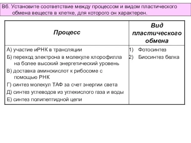 В6. Установите соответствие между процессом и видом пластического обмена веществ в клетке, для которого он характерен.