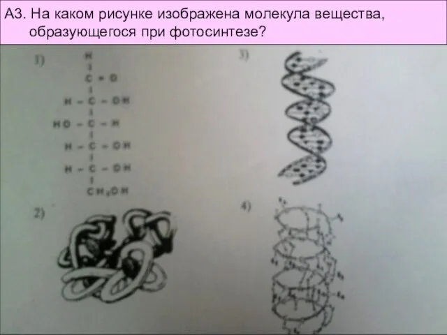 А3. На каком рисунке изображена молекула вещества, образующегося при фотосинтезе?