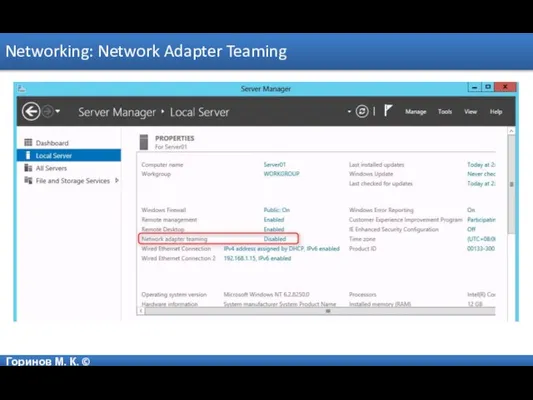 Горинов М. К. © Networking: Network Adapter Teaming