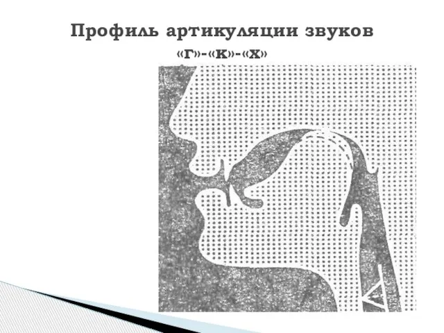 Профиль артикуляции звуков «г»-«к»-«х»