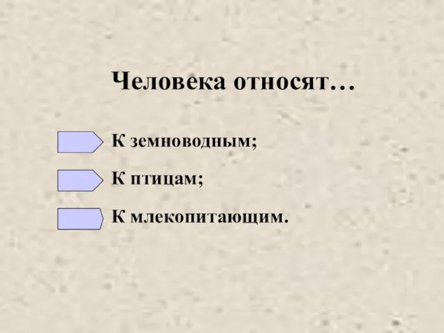 Человека относят… К земноводным; К птицам; К млекопитающим.