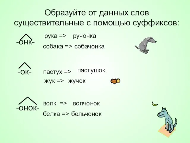 Образуйте от данных слов существительные с помощью суффиксов: -онк- -ок- -онок- белка