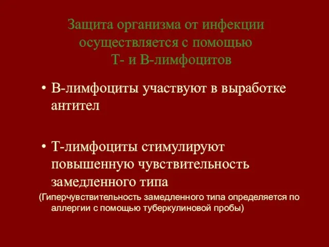 Защита организма от инфекции осуществляется с помощью Т- и В-лимфоцитов В-лимфоциты участвуют