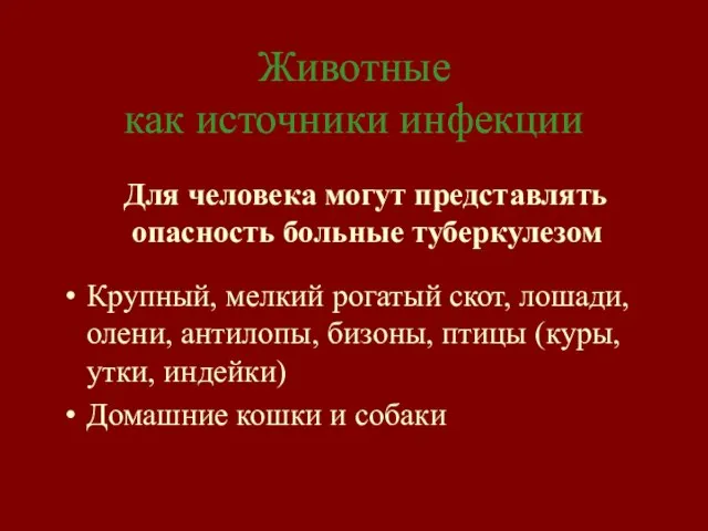 Животные как источники инфекции Для человека могут представлять опасность больные туберкулезом Крупный,