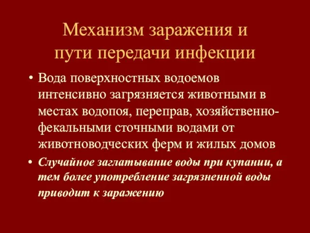 Механизм заражения и пути передачи инфекции Вода поверхностных водоемов интенсивно загрязняется животными