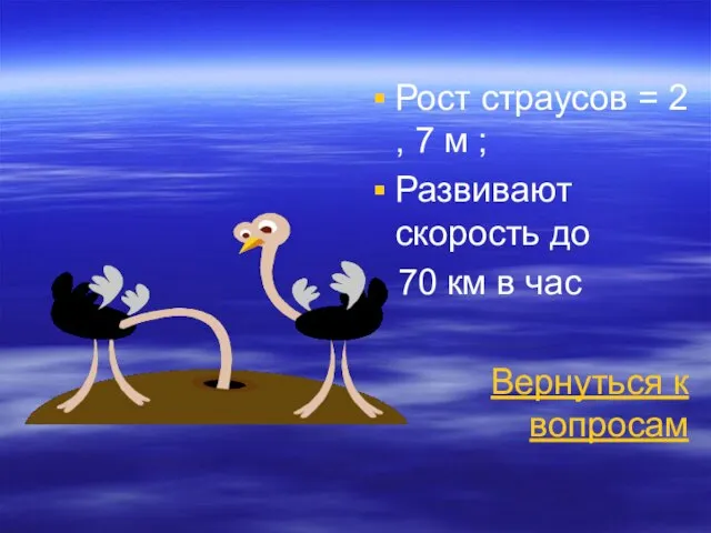 Рост страусов = 2 , 7 м ; Развивают скорость до 70