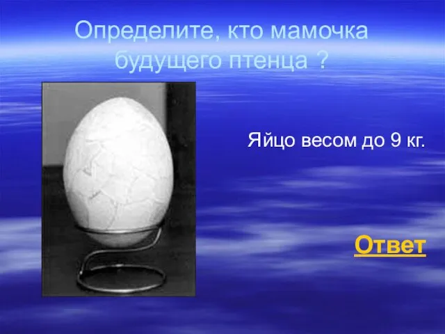 Определите, кто мамочка будущего птенца ? Яйцо весом до 9 кг. Ответ