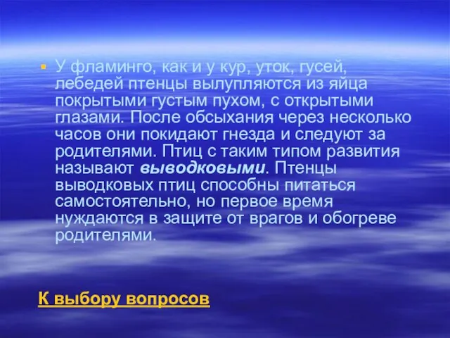 У фламинго, как и у кур, уток, гусей, лебедей птенцы вылупляются из