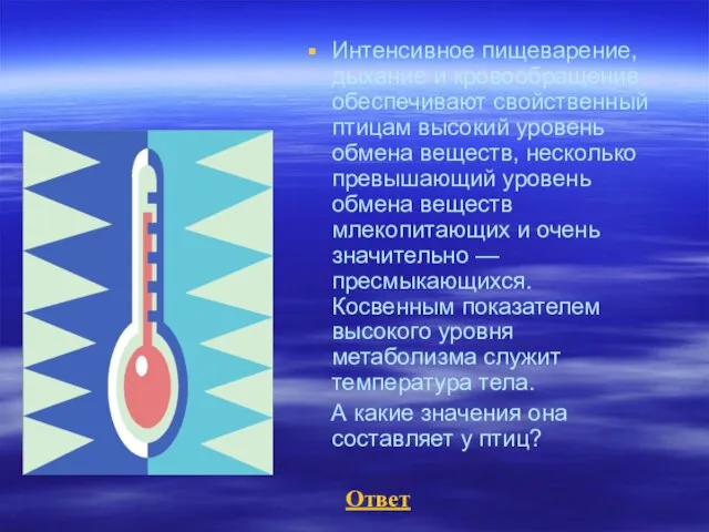 Интенсивное пищеварение, дыхание и кровообращение обеспечивают свойственный птицам высокий уровень обмена веществ,