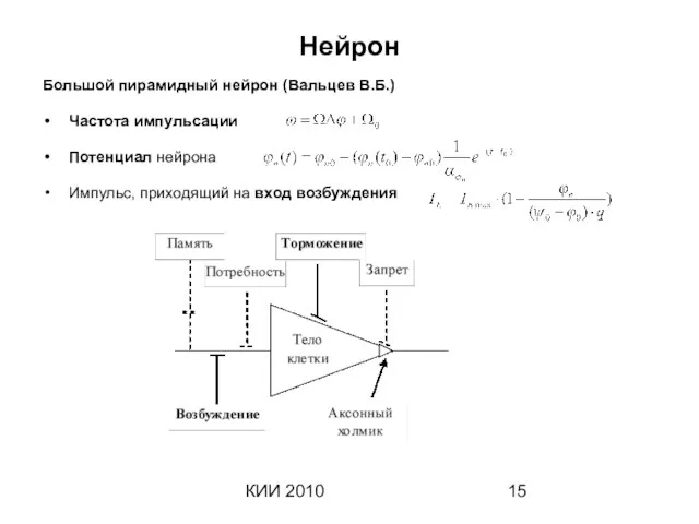 КИИ 2010 Нейрон Большой пирамидный нейрон (Вальцев В.Б.) Частота импульсации Потенциал нейрона