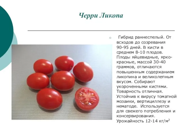 Черри Ликопа Гибрид раннеспелый. От всходов до созревания 90-95 дней. В кисти