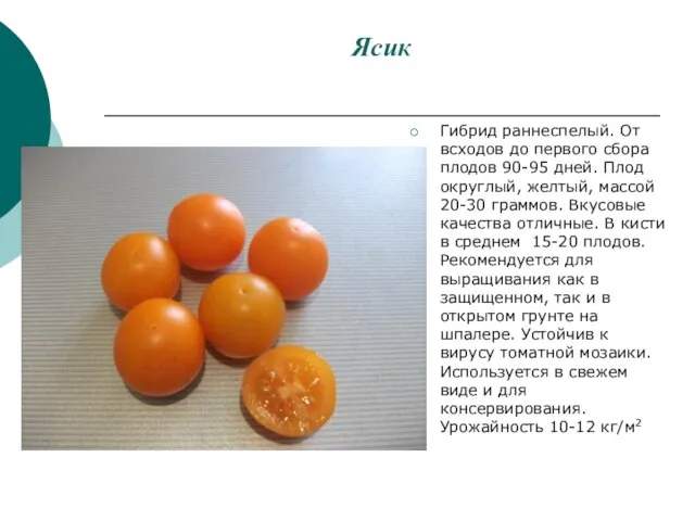Ясик Гибрид раннеспелый. От всходов до первого сбора плодов 90-95 дней. Плод