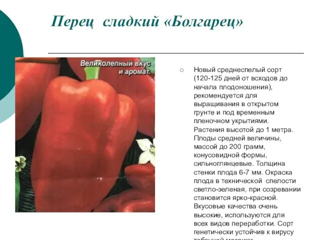 Перец сладкий «Болгарец» Новый среднеспелый сорт (120-125 дней от всходов до начала