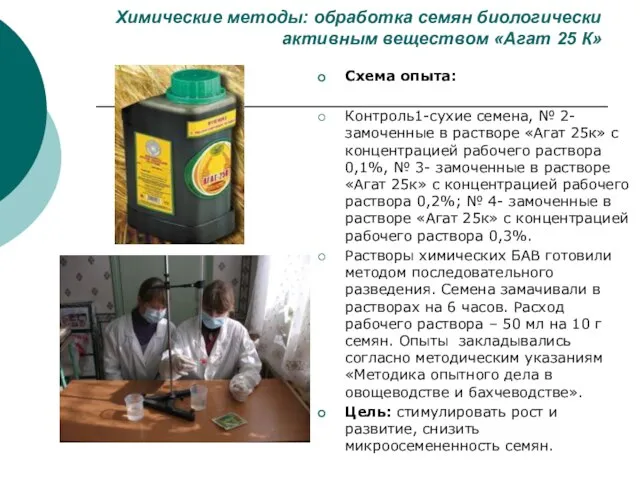 Химические методы: обработка семян биологически активным веществом «Агат 25 К» Схема опыта: