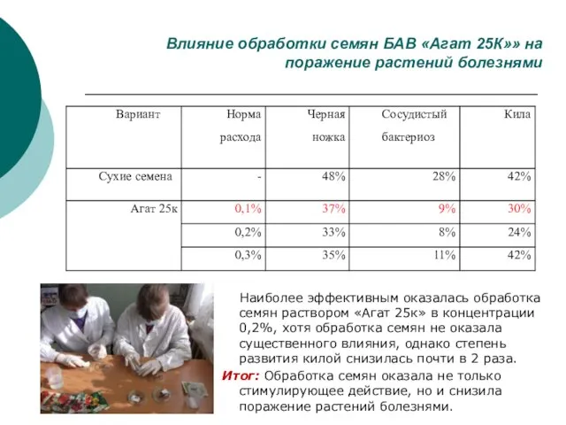 Наиболее эффективным оказалась обработка семян раствором «Агат 25к» в концентрации 0,2%, хотя