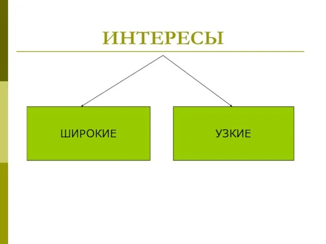 ИНТЕРЕСЫ ШИРОКИЕ УЗКИЕ