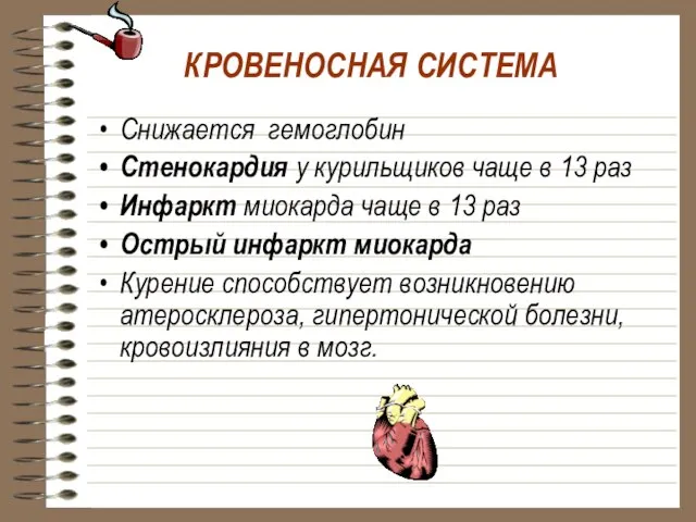 КРОВЕНОСНАЯ СИСТЕМА Снижается гемоглобин Стенокардия у курильщиков чаще в 13 раз Инфаркт