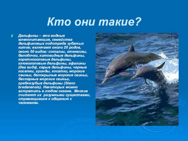 Кто они такие? Дельфины – это водные млекопитающие, семейства дельфиновых подотряда зубатых