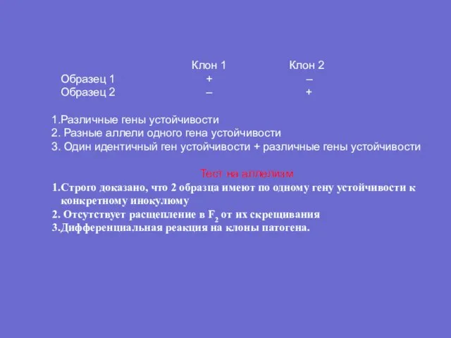 Клон 1 Клон 2 Образец 1 + – Образец 2 – +