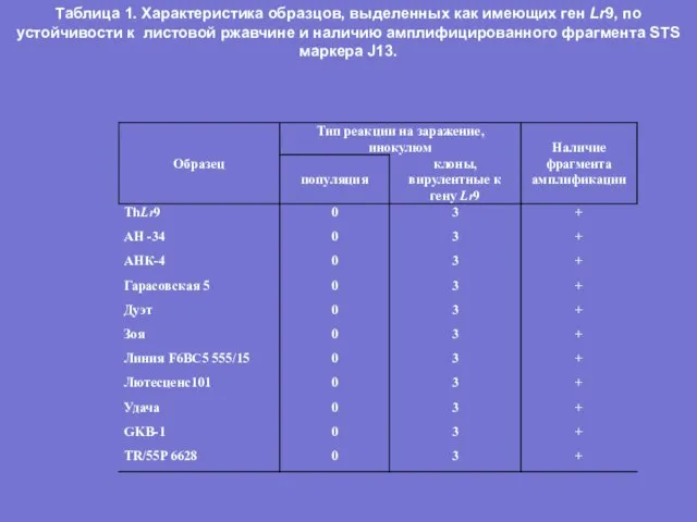 Таблица 1. Характеристика образцов, выделенных как имеющих ген Lr9, по устойчивости к