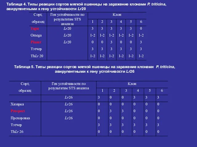 Таблица 4. Типы реакции сортов мягкой пшеницы на заражение клонами P. triticina,