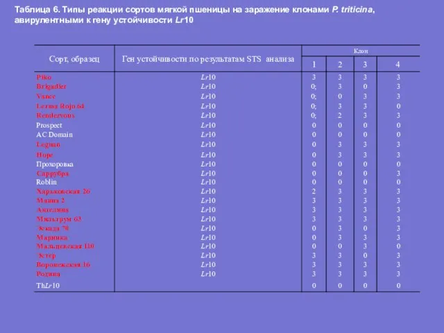 Таблица 6. Типы реакции сортов мягкой пшеницы на заражение клонами P. triticina,