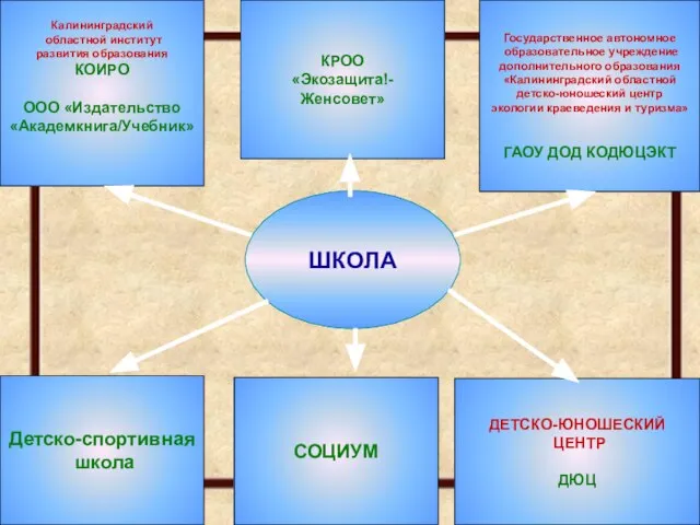 ШКОЛА Детско-спортивная школа СОЦИУМ ДЕТСКО-ЮНОШЕСКИЙ ЦЕНТР ДЮЦ Калининградский областной институт развития образования