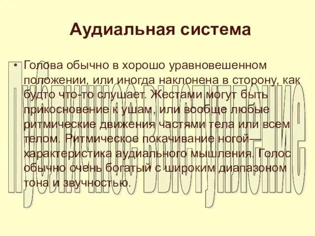 Аудиальная система Голова обычно в хорошо уравновешенном положении, или иногда наклонена в