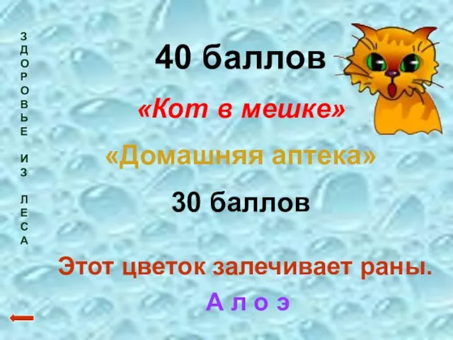 З Д О Р О В Ь Е И З Л Е