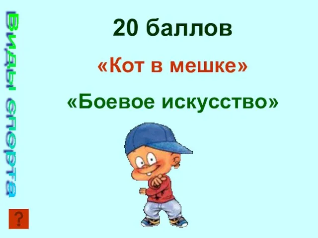 Виды спорта 20 баллов «Кот в мешке» «Боевое искусство»