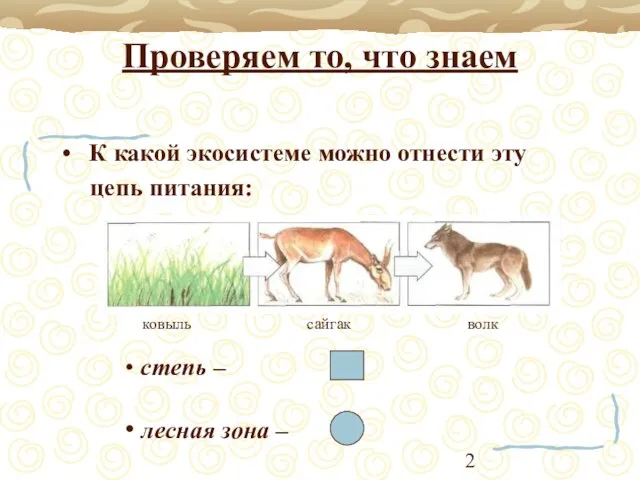 Проверяем то, что знаем К какой экосистеме можно отнести эту цепь питания: