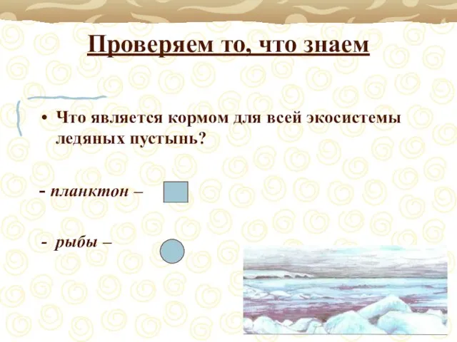 Проверяем то, что знаем Что является кормом для всей экосистемы ледяных пустынь?