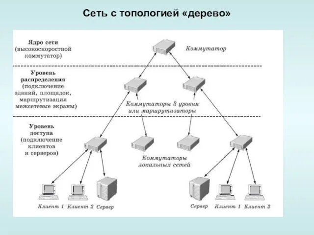 Сеть с топологией «дерево»