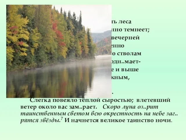 Внутренность леса постепенно темнеет; алый свет вечерней з..ри медленно скользит по стволам