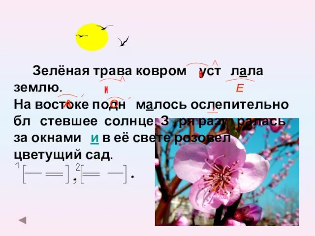 Зелёная трава ковром уст лала землю. На востоке подн малось ослепительно бл