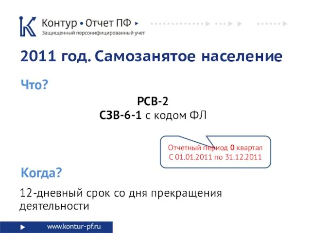 Отчетный период 0 квартал С 01.01.2011 по 31.12.2011 Что? 2011 год. Самозанятое