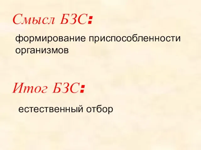 Смысл БЗС: формирование приспособленности организмов Итог БЗС: естественный отбор