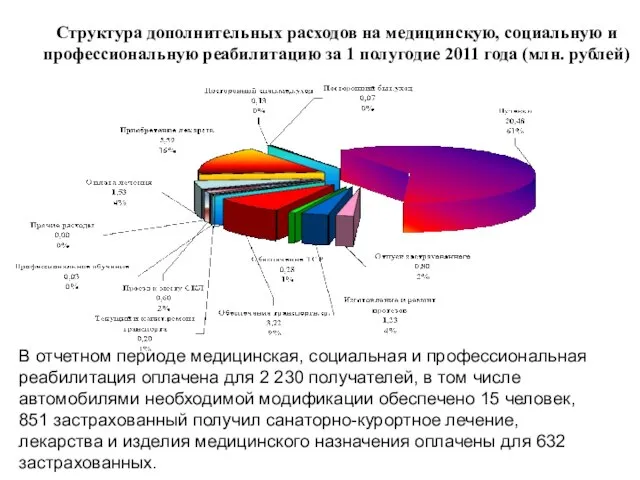 Структура дополнительных расходов на медицинскую, социальную и профессиональную реабилитацию за 1 полугодие