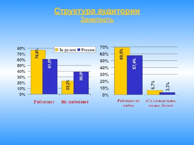 Структура аудитории Занятость