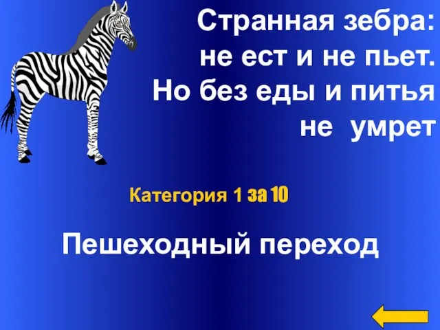 Странная зебра: не ест и не пьет. Но без еды и питья