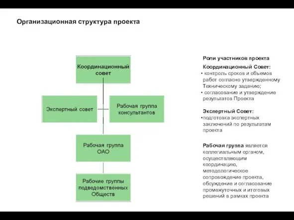 Организационная структура проекта Роли участников проекта Координационный Совет: контроль сроков и объемов