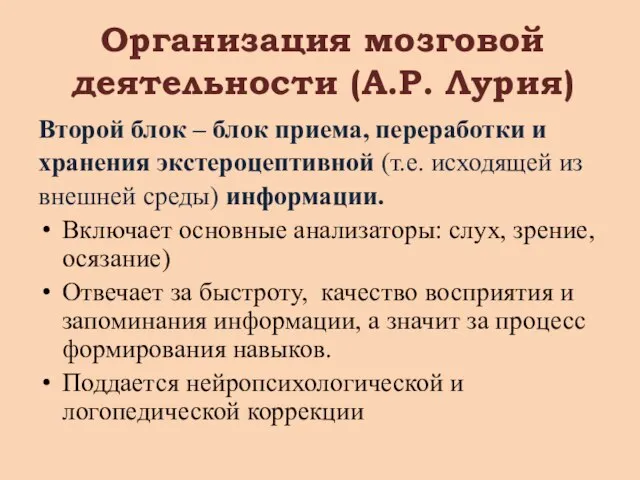 Организация мозговой деятельности (А.Р. Лурия) Второй блок – блок приема, переработки и