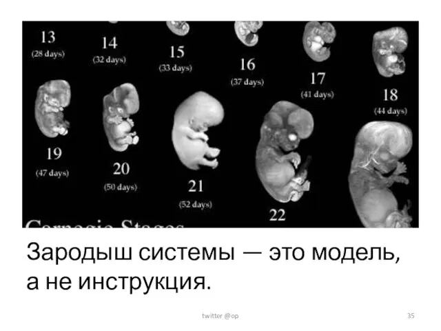 Зародыш системы — это модель, а не инструкция. twitter @op