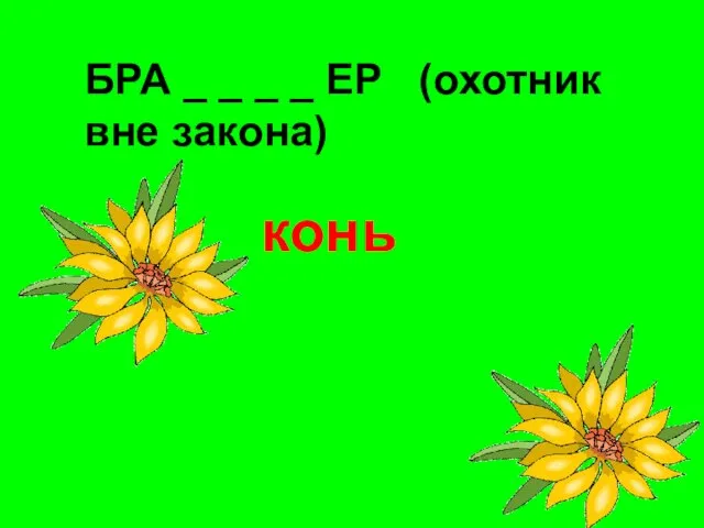 БРА _ _ _ _ ЕР (охотник вне закона) конь