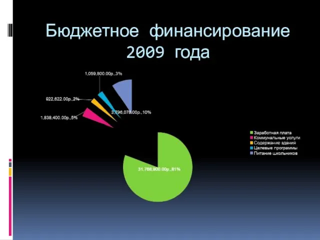 Бюджетное финансирование 2009 года